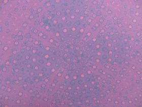 気象花前線円卓会議（部分）