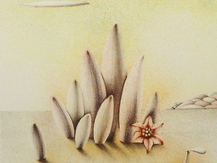 「Terra incognita #36」リトグラフ　375×380mm　2016