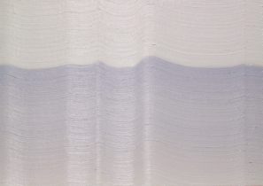 「かもめ」油彩・キャンバス　364×515mm　2016