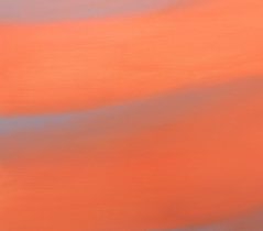 「M457　Himmel Bild 7」油彩、キャンバス　53.5×45.5cm　2013