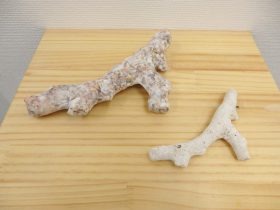 「珊瑚」陶土、手びねり　20×190×80mm　2017