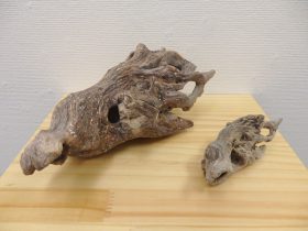 「流木」陶土、手びねり　110×250×100mm　2017