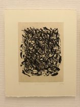 「study of carnivora」