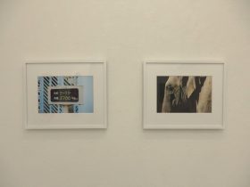 (左)「森で迷子になっていたスーリヤ」インクジェットプリント 25.4×30.5cm 2017「象(それはとても疲れているように見える)」インクジェットプリント 25.4×30.5cm 2017