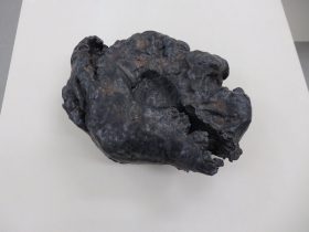 「呼吸する陶」陶　2017