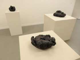 「呼吸する陶」陶　 H230×W500×D300mm、他4点　2017