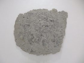 「恍惚の文字」新聞紙、越前和紙