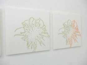 「どこかにあるかあもしれない植物」紙にペン　45×45cm　2016
