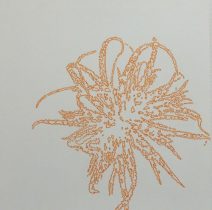 「どこかにあるかあもしれない植物」紙にペン　45×45cm　2016