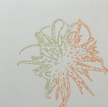 「どこかにあるかあもしれない植物」紙にペン　45×45cm　2016