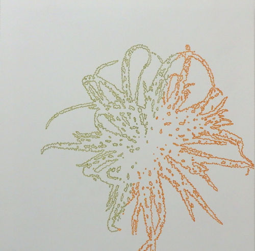 「どこかにあるかあもしれない植物」紙にペン　45×45cm　2016