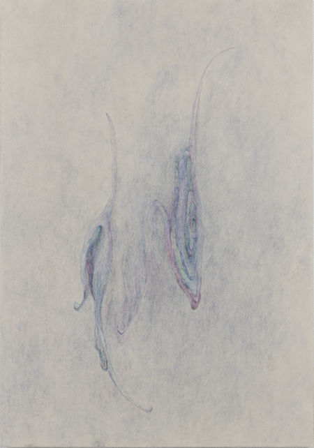「曖昧な浮動」雲肌麻紙、墨、岩絵具　652×455mm　2017
