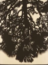 「かたち－73　“神経網”」エッチング、アクアチント、雁皮刷り　121.5×91cm　2017