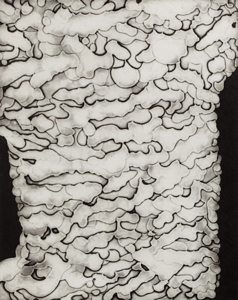 「雪層」エッチング、アクアチント、雁皮刷り　28×22cm　2017