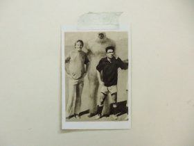 「古い友達」（部分）