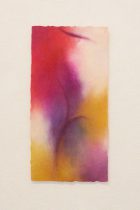 「色奏—影映 P18-8」手漉きコットン紙に水彩、パステル　40.5×20.5cm　2018