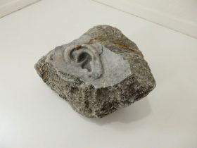 「富山の大理石18-1」