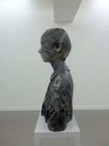 「Microcosm 領家帯の泥質片岩18-1」