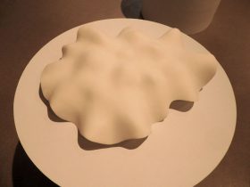 「分化-1」磁器土、鋳込み　37×44×H10cm　2018