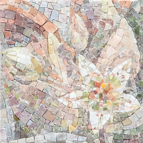 「グラプトペタルム(朧月)」大理石、ズマルトガラス　12.3×12.3cm　2018