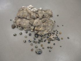 「Petrograph 2」発泡スチロール、アクリル絵具、石　150×100×25cm