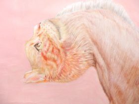 「八駿猫」（部分）