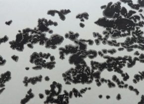 「雪氷」墨、雁皮紙、木製パネル　19.4×25.5cm　2018