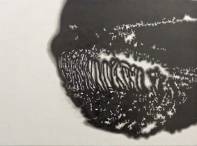 「氷網」墨、雁皮紙、木製パネル　21.2×28.8cm　2019