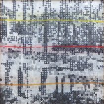 「biotop vol.3」アクリル、ペン、布、木　580×590mm　2019