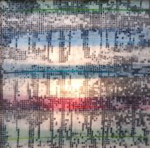 「biotop vol.1」アクリル、ペン、布、木　770×800mm　2019