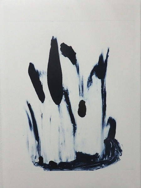 「植生／落石3」モノタイプ（紙に油性インク）　760×560mm　2019