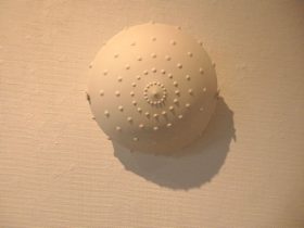 「big boom」磁器土、鋳込み　Φ25×H10cm　2019