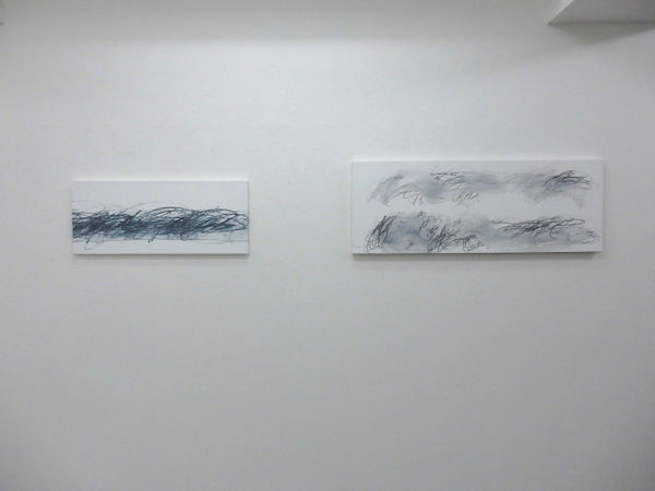 （左）「19D-30」（右）「19F-03」キャンバス、アクリル、グラファイト
