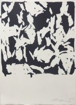 「layer 19-L-4-3（5-3）」リトグラフ　455×330mm　2019