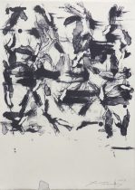 「layer 19-L-4-2」リトグラフ　455×330mm　2019