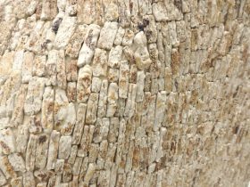 「架空の実在」（部分）