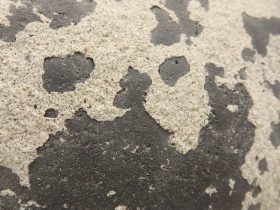 「隙の間」（部分）