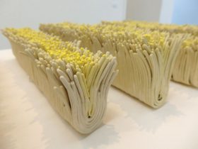 「alignment」（部分）