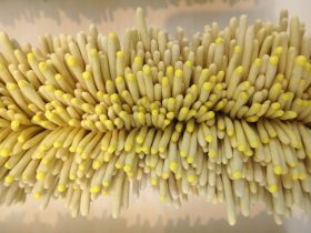 「alignment」（部分）