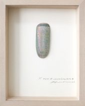 「piece of memory.Long parts.Ⅲ」エッチング、雁皮紙、デジタルプリント　270×220×40mm　2019