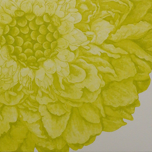「夏色のスカビオサ Ⅱ」銅版画　300×300×23mm　2020