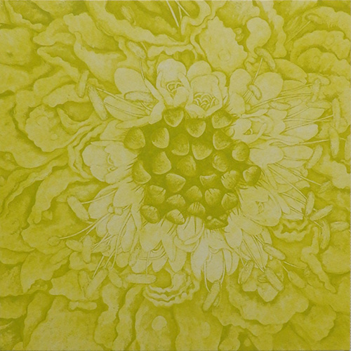「夏色のスカビオサ Ⅰ」銅版画　300×300×23mm　2020