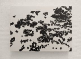 「雪氷」墨、雁皮紙、木製パネル 19.4×25.5cm 2018