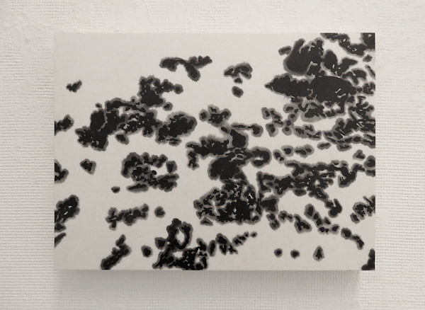「雪氷」墨、雁皮紙、木製パネル　19.4×25.5cm　2018