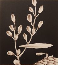 「北溟 #2」リトグラフ　30×22cm　2020