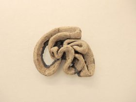 「応え」陶　2019