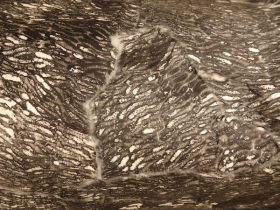 「Limbo－Seekers－」（部分）