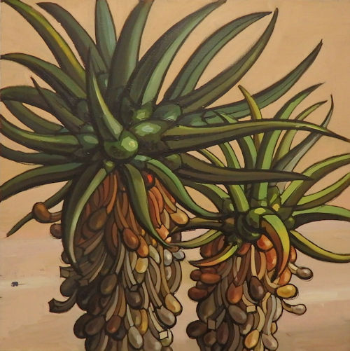 「自己主張の強い植物たち1」キャンバス、油彩　65.2×65.2cm　2020
