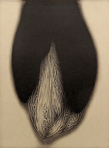「amaryllis-5」エッチング、アクアチント　20×15cm