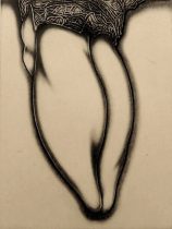 「amaryllis-3」エッチング、アクアチント 20×15cm